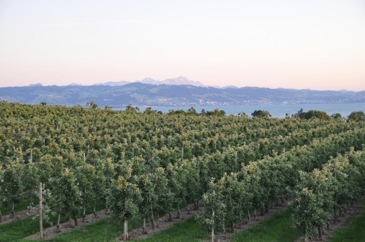 Ferienwohnung Weinbergblick Kressbronn am Bodensee Exterior foto
